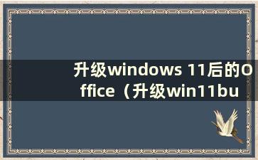 升级windows 11后的Office（升级win11bug）